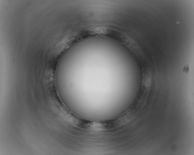 X0000111020518200906191655