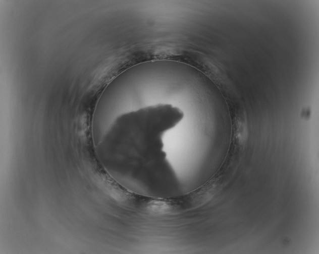 X0000111020519200906191655