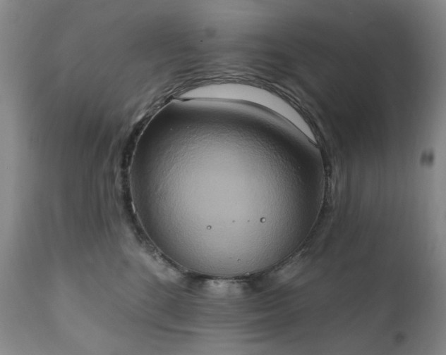 X0000111020520200906191655