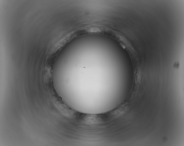 X0000111020521200906191655