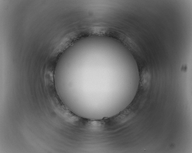 X0000111020522200906191655