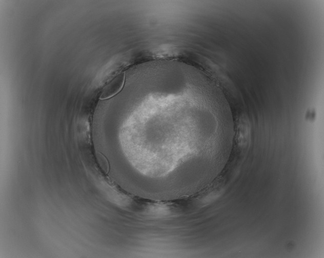 X0000111020523200906191655
