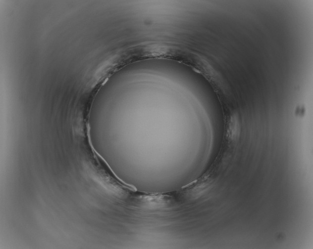 X0000111020524200906191655