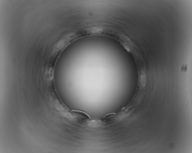 X0000111020525200906191655