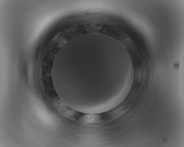 X0000111020526200906191655