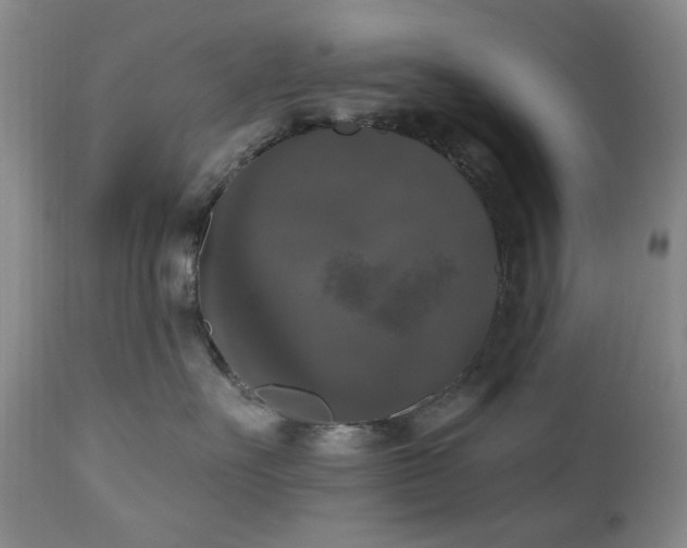 X0000111020527200906191655