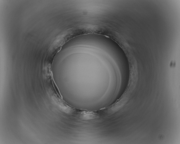 X0000111020528200906191655