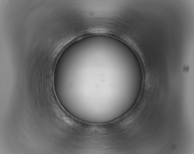 X0000111020529200906191654