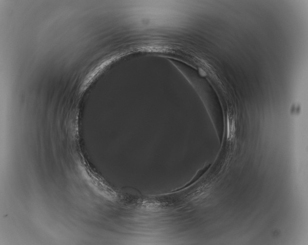 X0000111020531200906191654