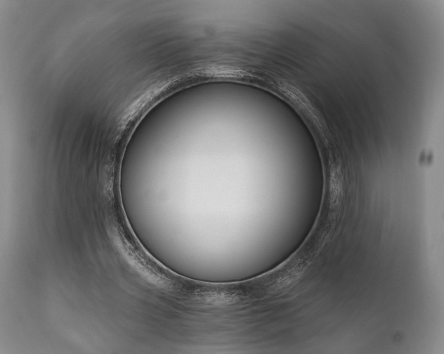 X0000111020533200906191654