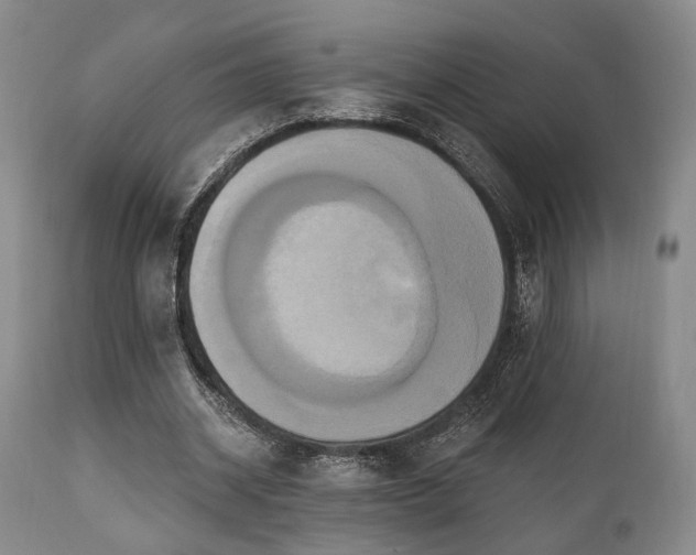 X0000111020534200906191654