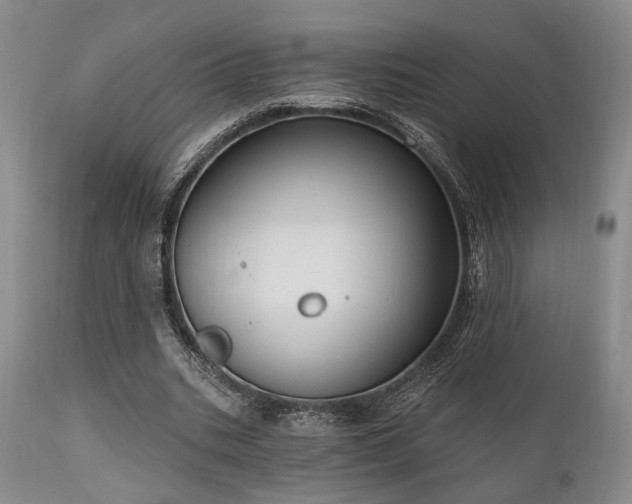 X0000111020535200906191654