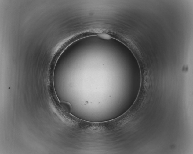 X0000111020536200906191654