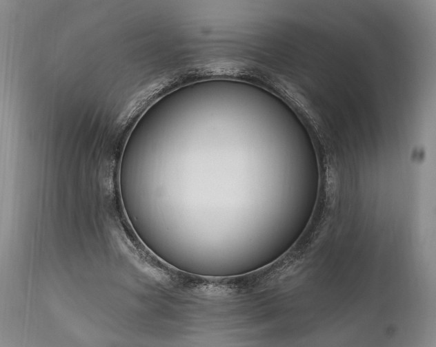 X0000111020537200906191654