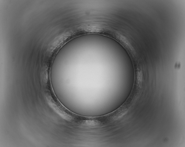 X0000111020541200906191654