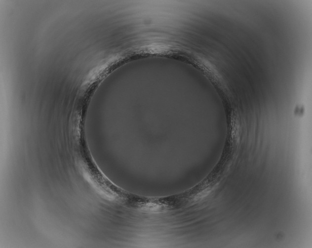 X0000111020542200906191654