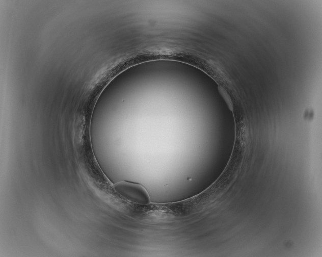 X0000111020544200906191654