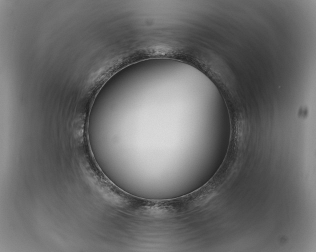 X0000111020545200906191654