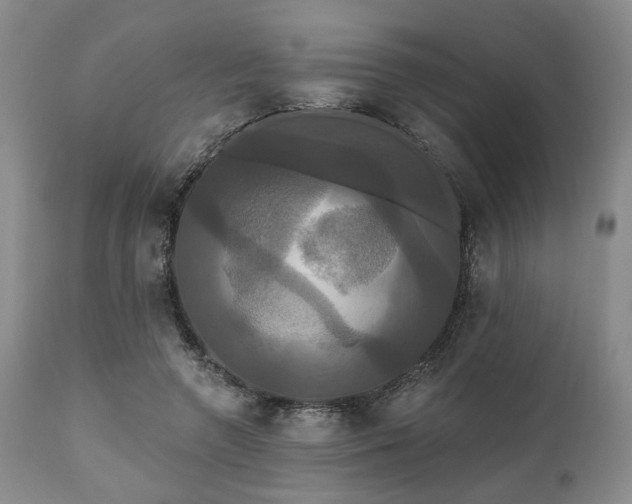 X0000111020546200906191654