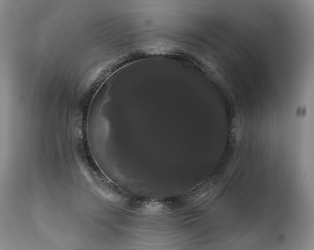X0000111020547200906191654