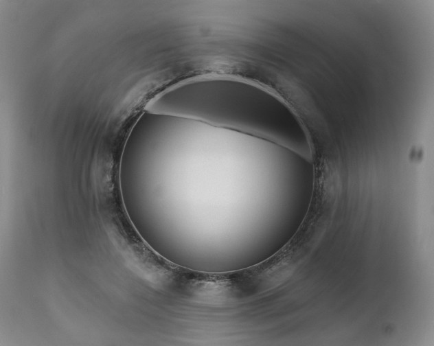 X0000111020548200906191654