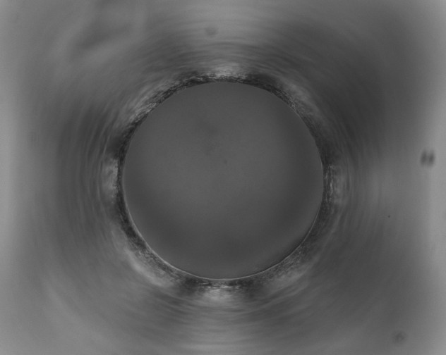 X0000111020550200906191654