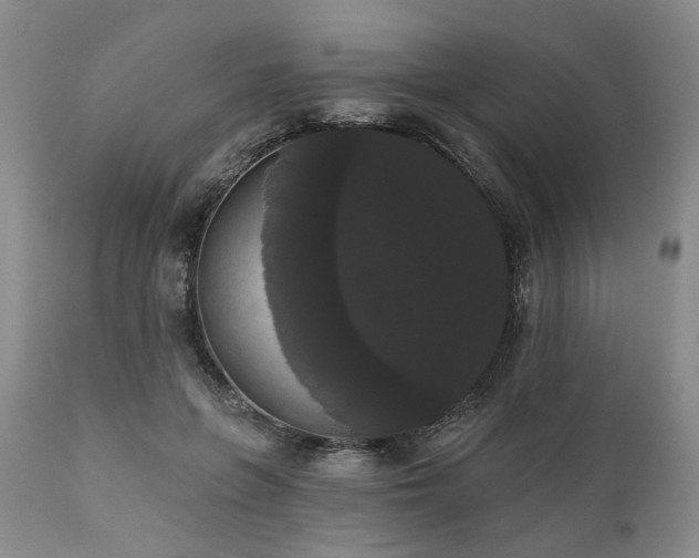 X0000111020551200906191654