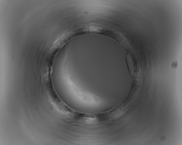 X0000111020552200906191654