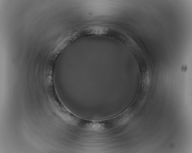 X0000111020553200906191654