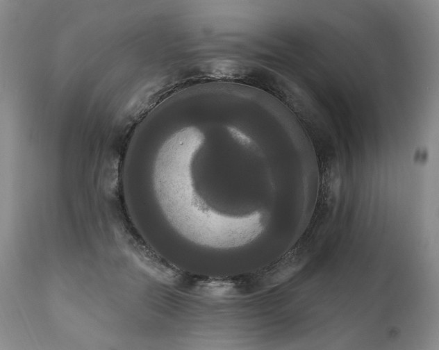 X0000111020554200906191654