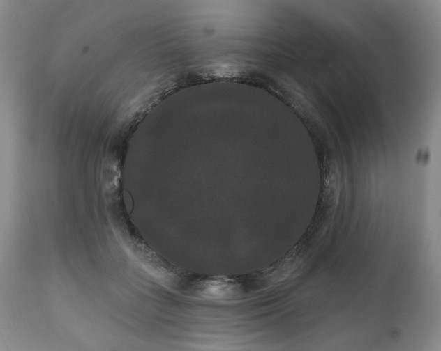 X0000111020555200906191654