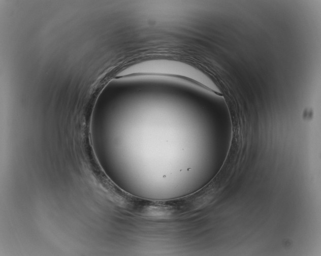X0000111020556200906191654