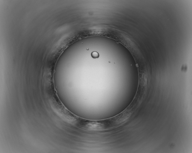 X0000111020557200906191654