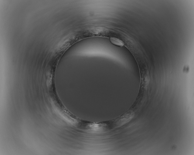 X0000111020558200906191654