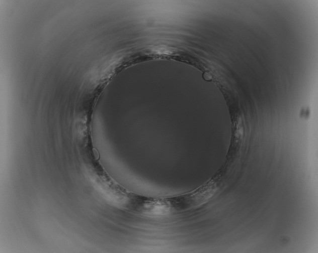 X0000111020559200906191654