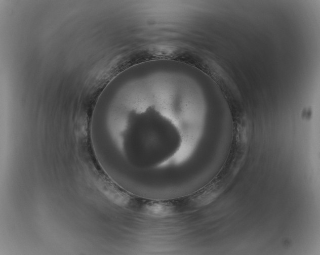 X0000111020561200906191655