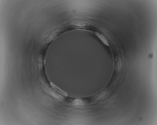 X0000111020562200906191655