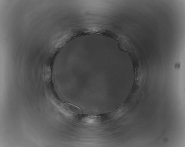 X0000111020563200906191655