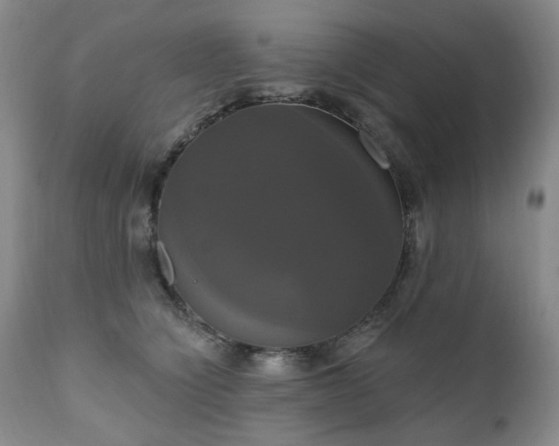 X0000111020564200906191655