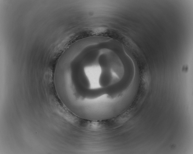 X0000111020565200906191655