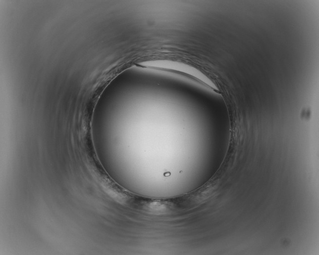 X0000111020566200906191655