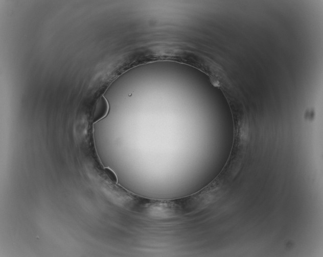 X0000111020567200906191655