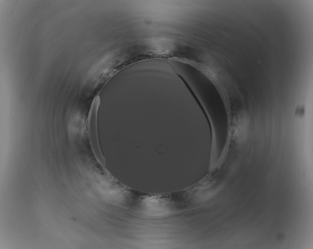 X0000111020568200906191655