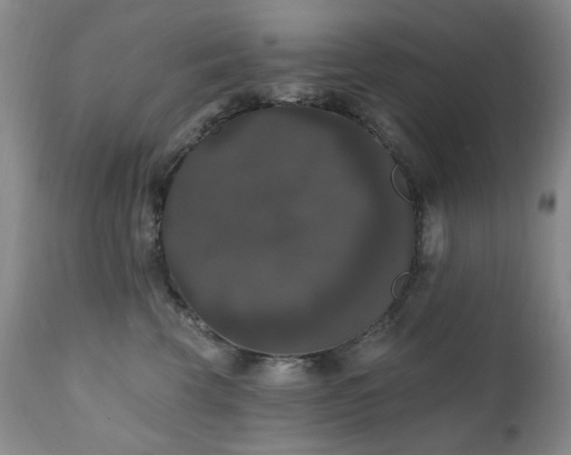 X0000111020569200906191655