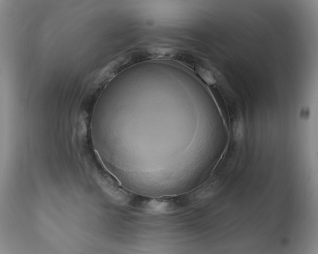 X0000111020570200906191655