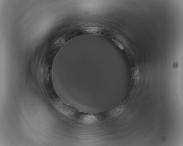 X0000111020572200906191655