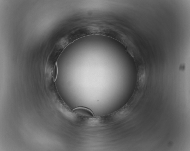 X0000111020574200906191655