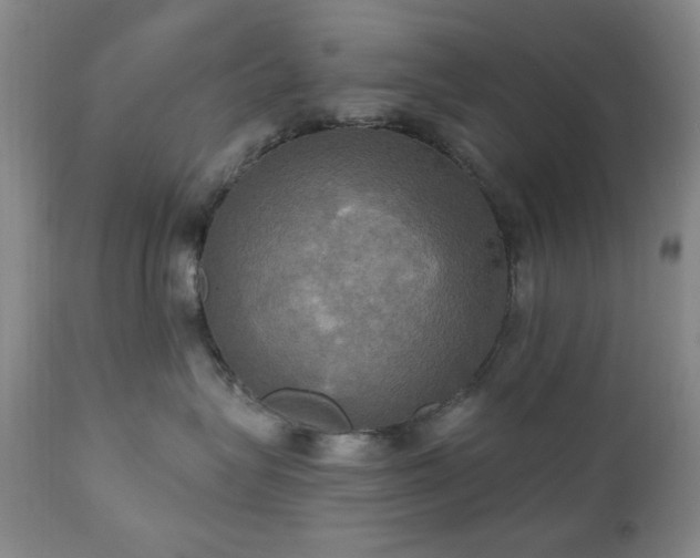 X0000111020575200906191655