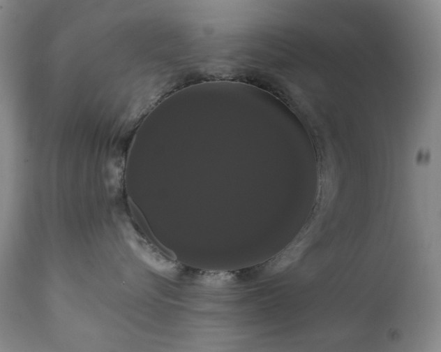 X0000111020576200906191655