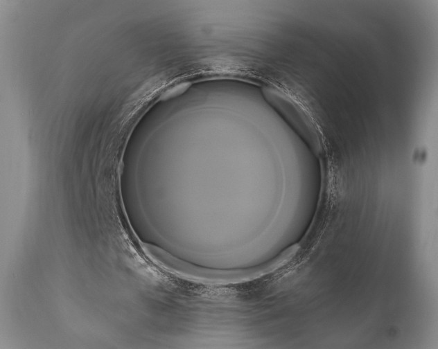 X0000111020577200906191654